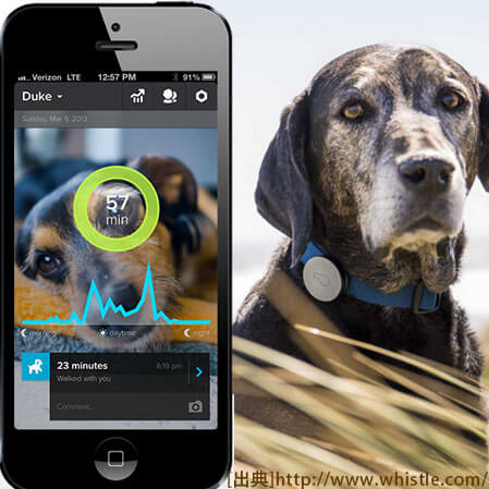 愛犬の健康もスマホで管理するヘルスケア端末『Whistle』登場