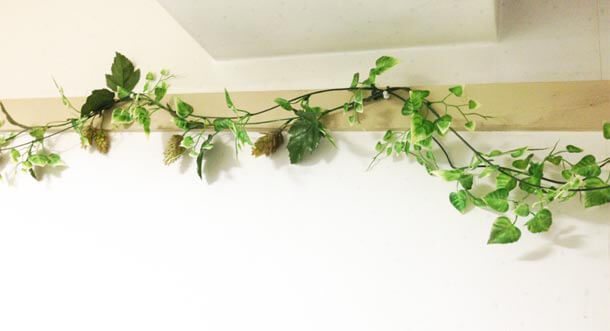 部屋に植物を オシャレでリラックス空間を演出 造花ok