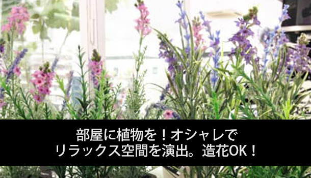 部屋に植物を!オシャレでリラックス空間を演出。造花OK!