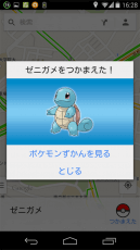 ゼニガメをつかまえた！