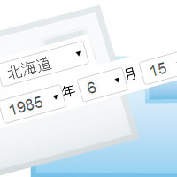 contact form7用のテンプレート…都道府県・生年月日など