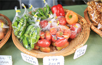 fukushimanoichi