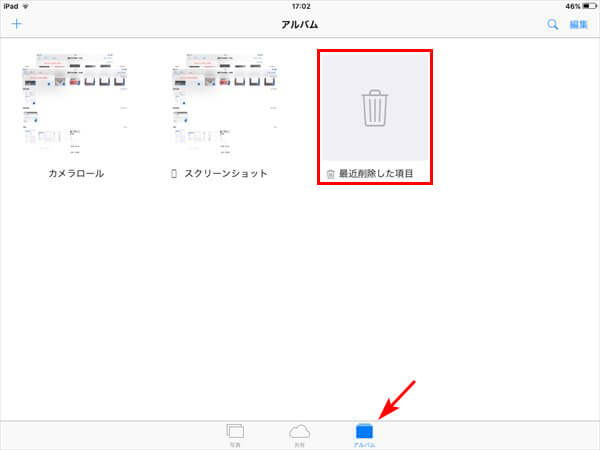 iphone_pic_size04