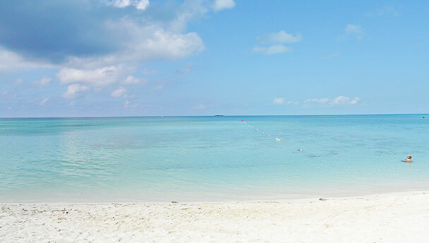 綺麗な海