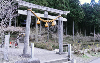 根道神社のモネの池