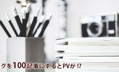 ブログを100記事にするとこうなる