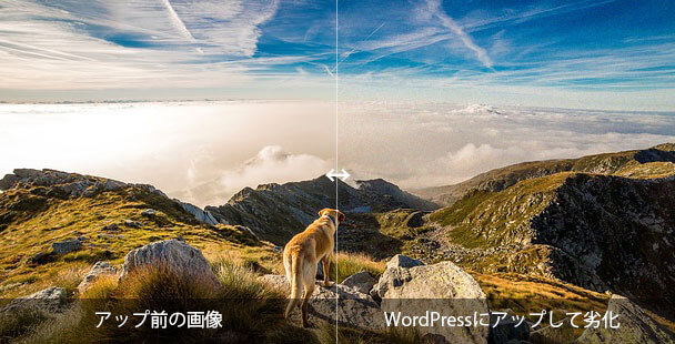 WordPressでアップした写真が劣化して画質が悪くなるのを防ぐ方法