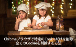 Chromeブラウザで特定のCookieだけを削除／全てのCookieを削除する方法