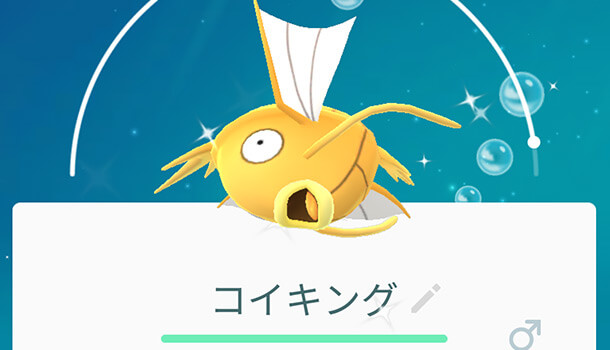 金のコイキングをゲット 手に入れる条件はある ポケモンgo Iscle イズクル