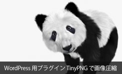 JPEGとPNG画像を圧縮するTinyPNG