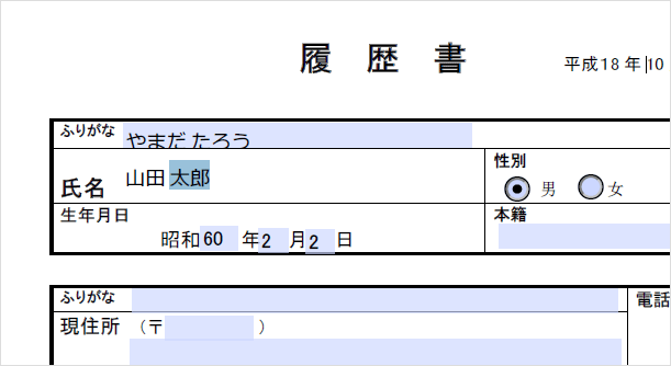 PDFに入力する