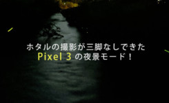 ホタルの撮影もできたPixel3の夜景モード！しかも三脚なし