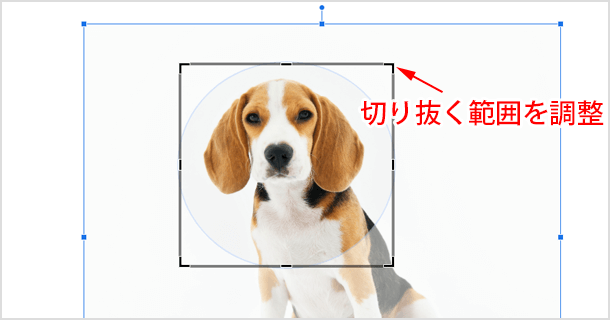 切り抜く範囲を調整