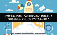 PV増加に活用すべき画像SEOと動画SEO！需要のあるクエリを見つけるには？