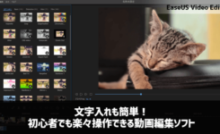 文字入れも簡単！初心者でも楽々操作できる動画編集ソフト『EaseUS Video Editor』