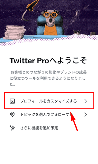 プロフィールをカスタマイズする