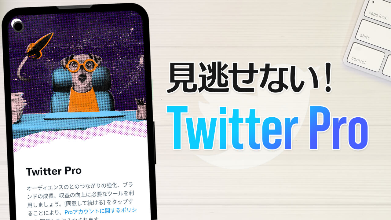 新機能「Twitter Pro」を使う条件や一般アカウントとの違い