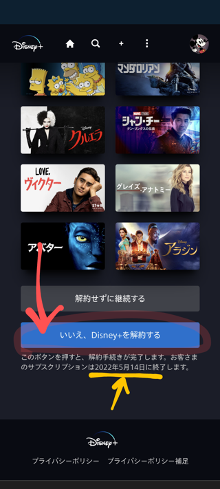 いいえ、Disney+を解約する