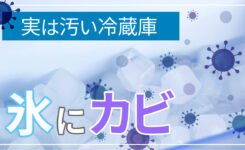 冷蔵庫の製氷機にカビが！自分で庫内を掃除する＆カビ予防