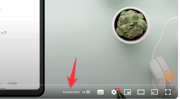動画画面のスクリーンショット
