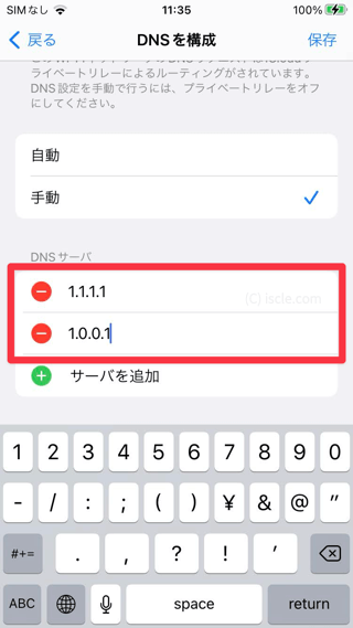DNS を入力