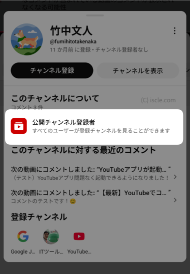 公開チャンネル登録者