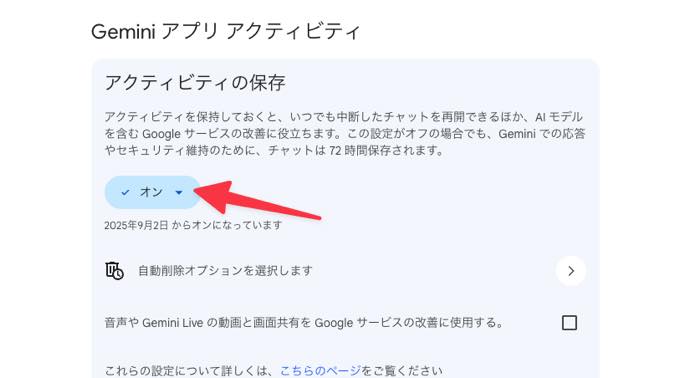 Gemini アプリ アクティビティ